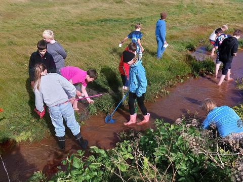 Stickleback fishing in Kjalarnes