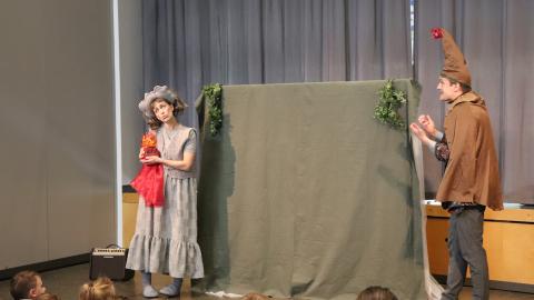 Ef ég væri grágæs