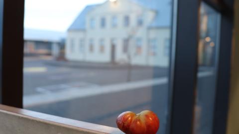 Risavínber í Klébergsskóla